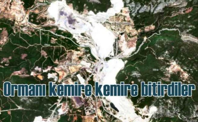 Akbelen Ormanı İçin Geç Değil!