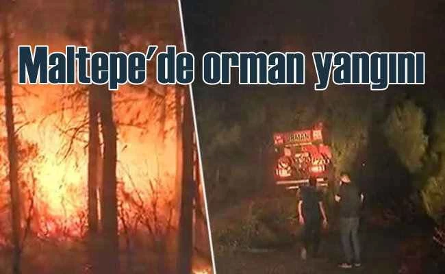 Maltepe'de orman yangını | Alevler uzaktan görülüyor