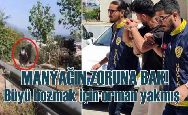 Menteşe'de ormanı büyü bozmak için yakan adam yakalandı