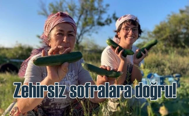 Soframıza gelen zehirlerden 6’sı daha yasaklandı