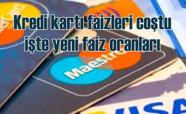 Kredi kartı faiz oranları yükseldi