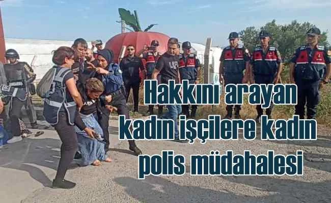 Sendikaya üye olan tarım işçilerine polis müdahalesi