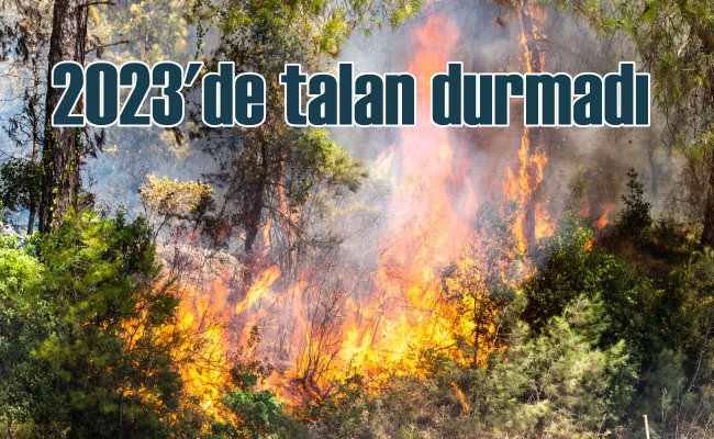 TEMA Vakfı 2023 yılını değerlendirdi | Yangınlar, talan, sel baskınları