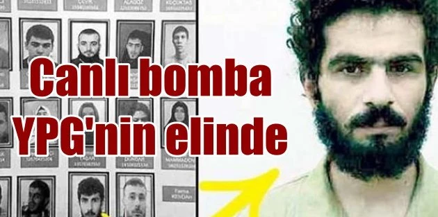 Canlı bombalardan biri PKK